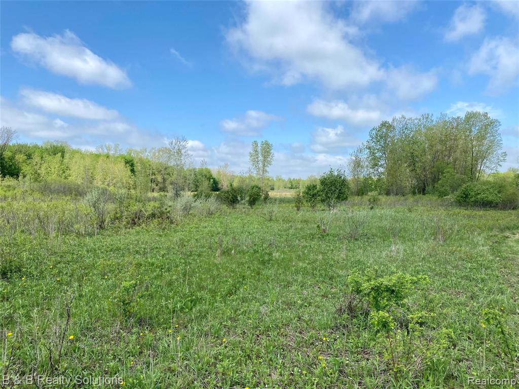 0 O Brien Road Mayville, MI 48744 - Photo 11 of 22