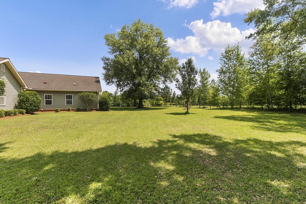 1148 Crawford Road Cowarts, AL 36321 - Photo 42 of 74