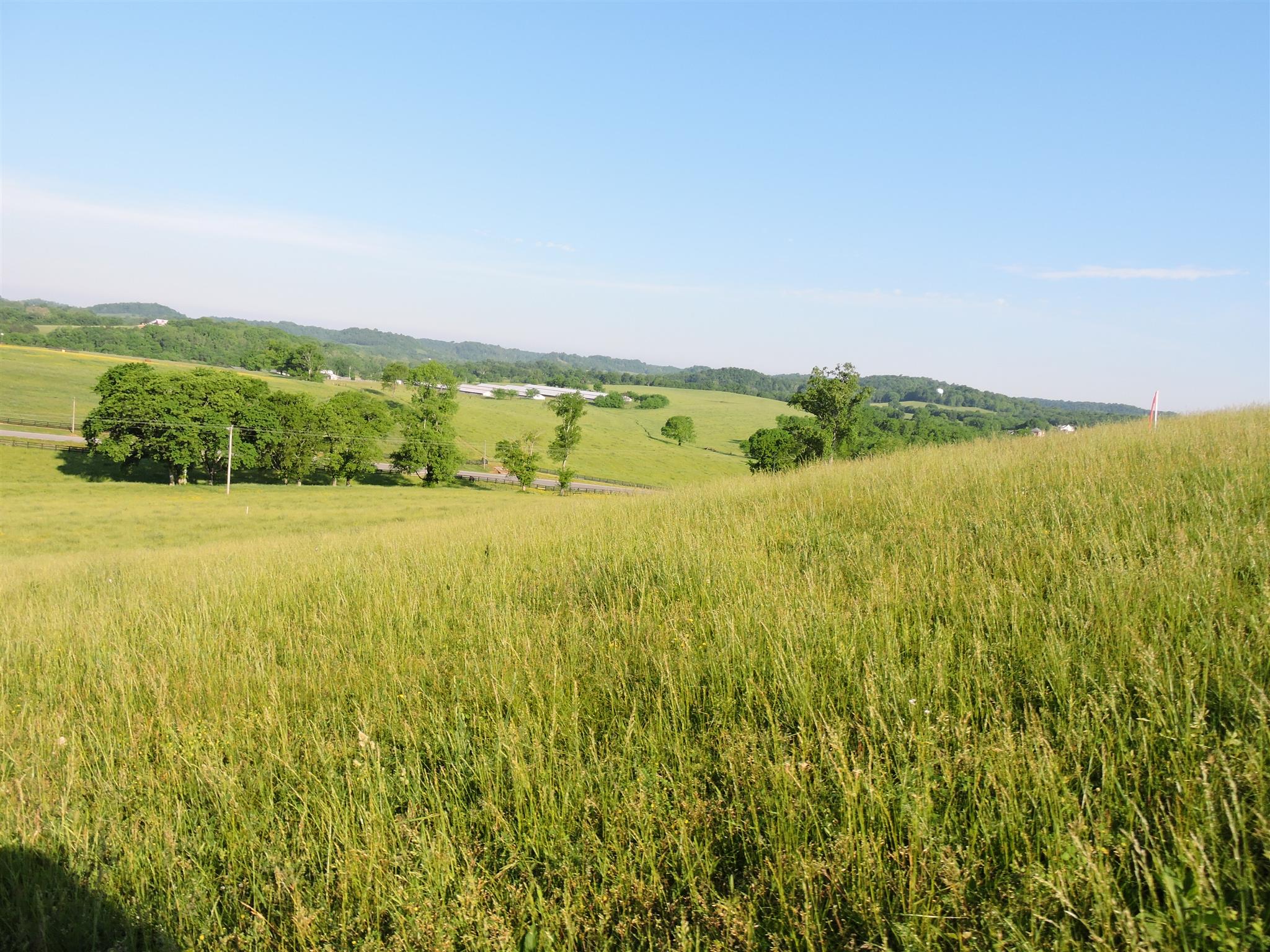 3 Walker Road Beechgrove, TN 37018 - Photo 3 of 6 Gallery Image 3