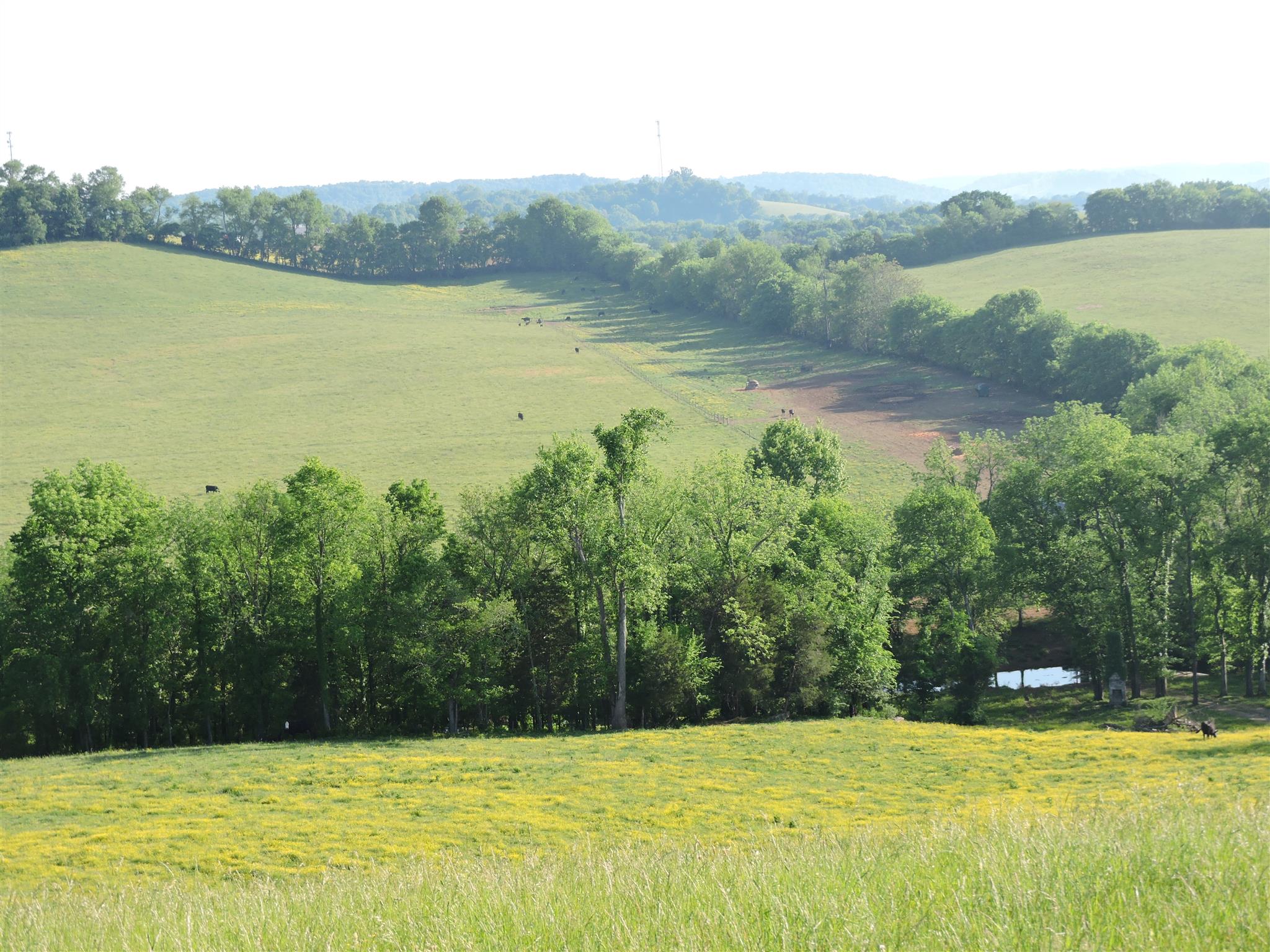 3 Walker Road Beechgrove, TN 37018 - Photo 4 of 6 Gallery Image 4