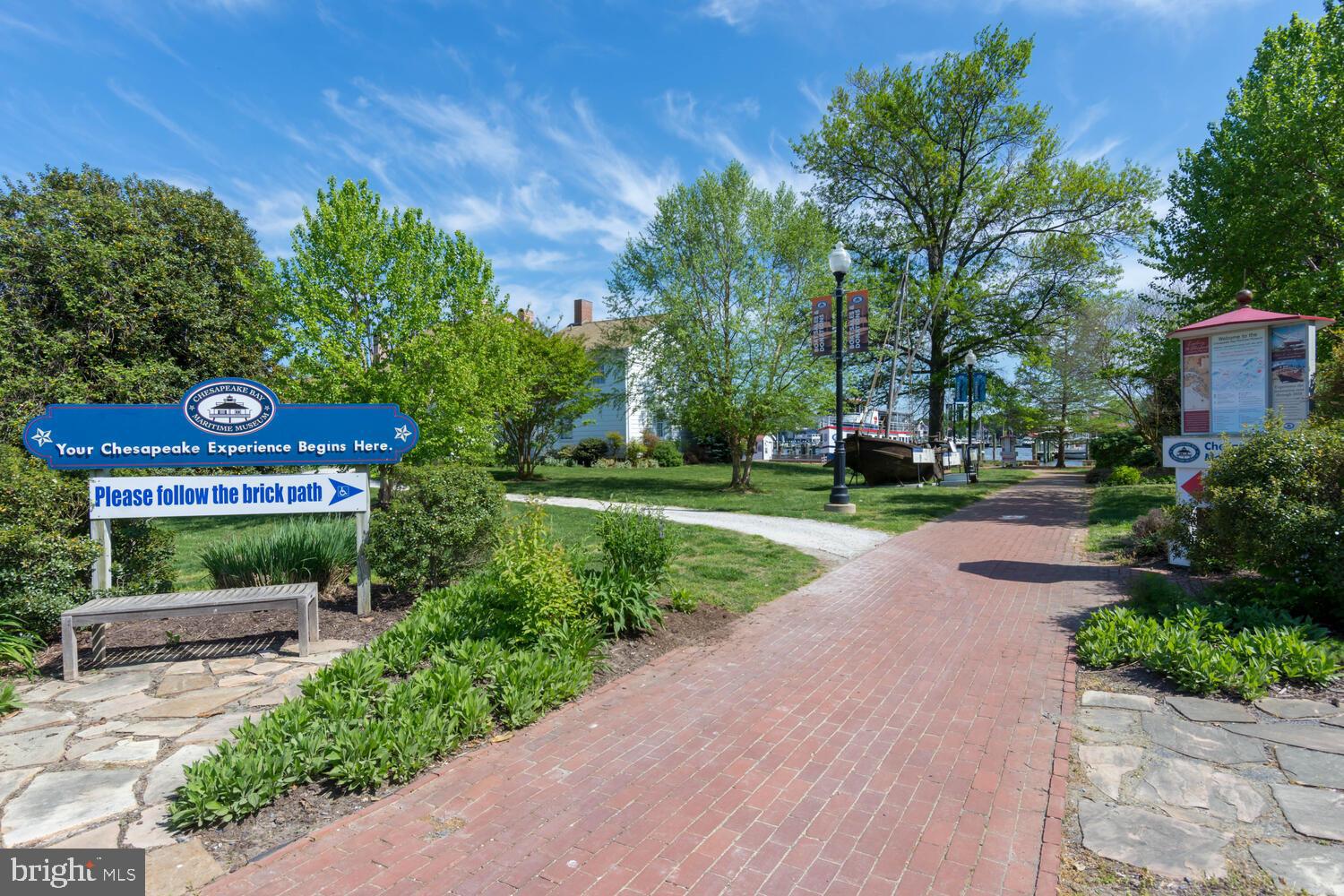 114 West Chestnut Street St. Michaels, MD 21663 - Photo 60 of 75 a view of a street with potted plants and a large tree