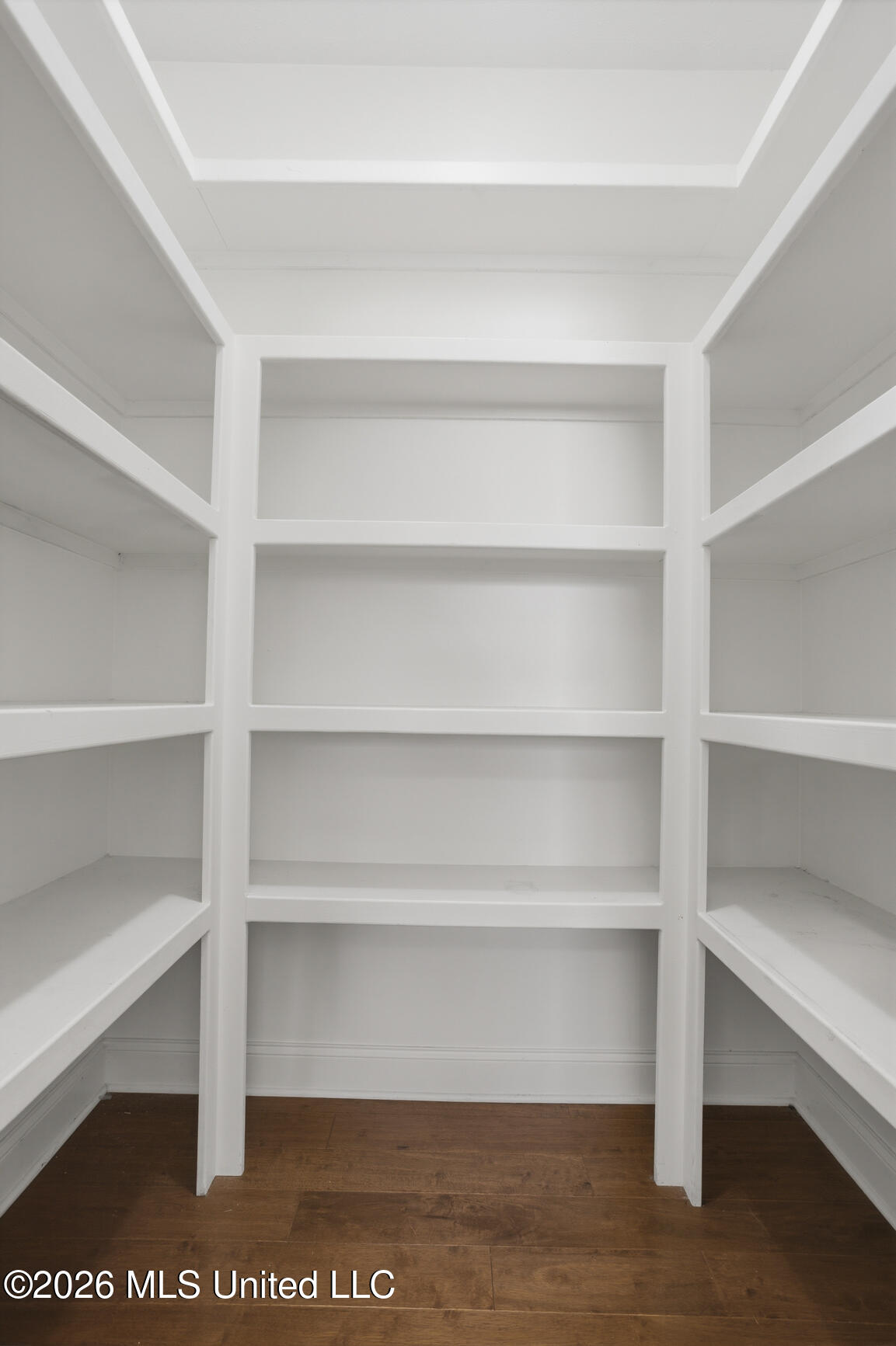 303 Siltstone Ridge Brandon, MS 39047 - Photo 23 of 37 Large Walk in Pantry