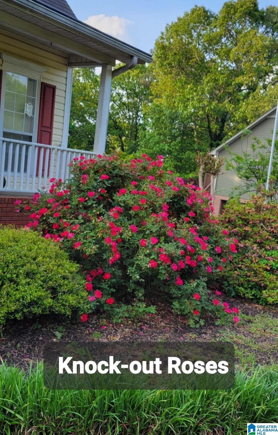6437 Mountain Ridge Road Trussville, AL 35173 - Photo 47 of 48
