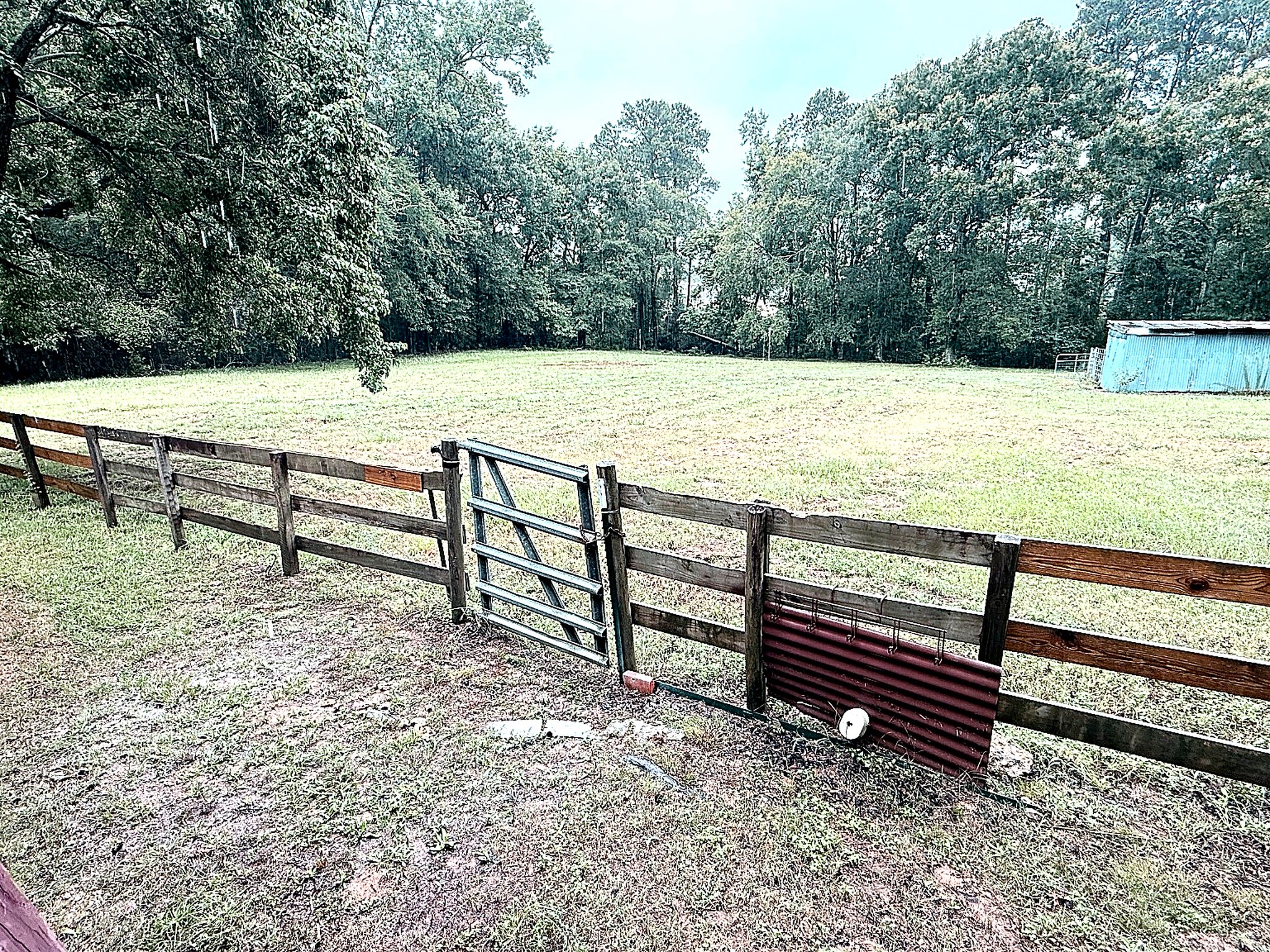 5801 Sapp Road Conroe, TX 77304 - Photo 7 of 35 Back Pasture