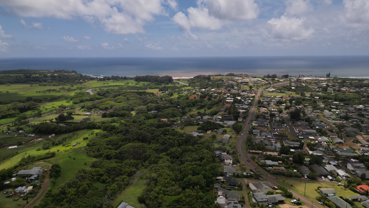 15 Laipo Road Kapaa, HI 96746 - Photo 2 of 8