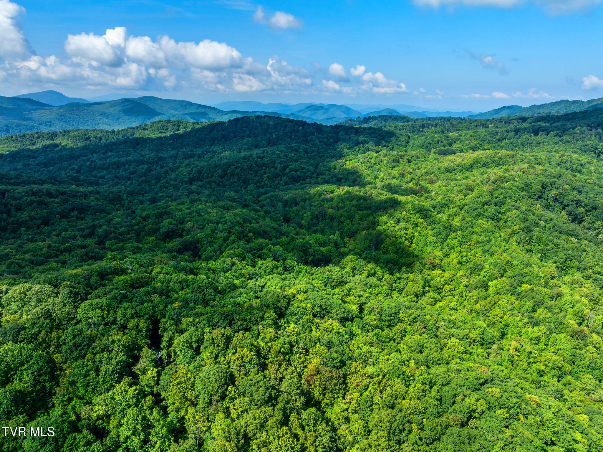 1887 Dennis Cove Road, Unit 67 Hampton, TN 37658 - Photo 11 of 57 DJI_0979
