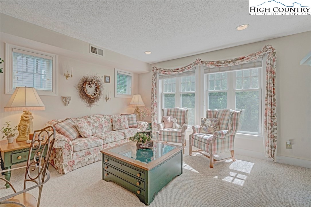 190 Still Lake Drive, Unit 321 Boone, NC 28607 - Photo 6 of 30 a living room with furniture a lamp and a potted plant