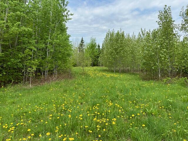 0 Wotton Road Monticello, ME 04760 - Photo 16 of 39 IMG_4440