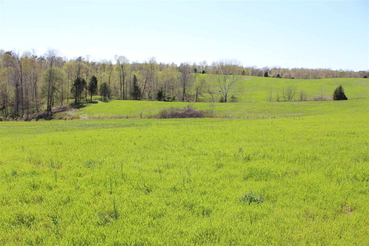 83 Long Fall Road Cub Run, KY 42729 - Photo 19 of 32 Gallery Image 19