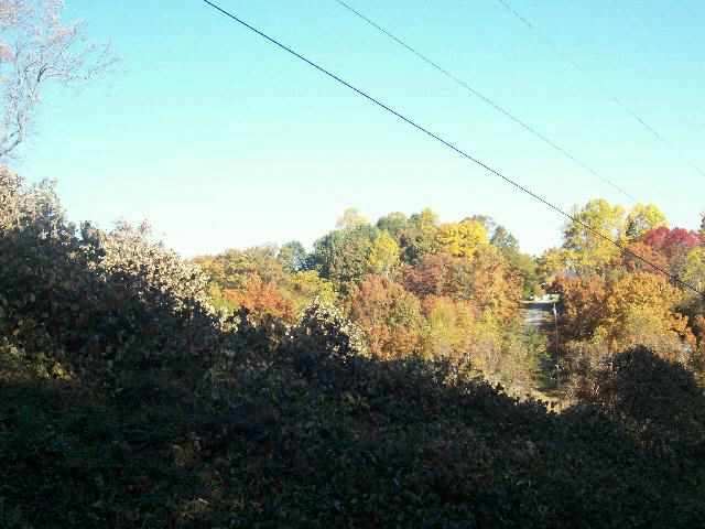 16 Acres Burns Hill Road Liberty, SC 29657 - Photo 6 of 7