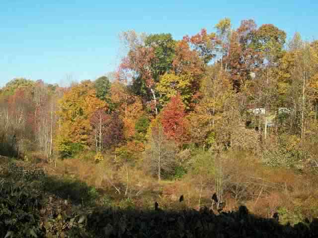 16 Acres Burns Hill Road Liberty, SC 29657 - Photo 7 of 7