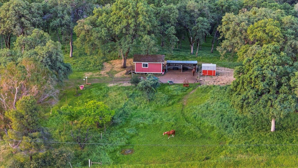 20601 John Born Road Penn Valley, CA 95946 - Photo 3 of 52