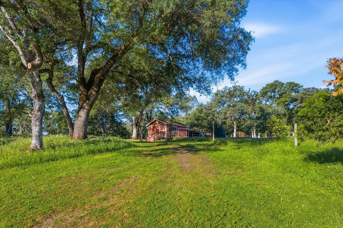 20601 John Born Road Penn Valley, CA 95946 - Photo 40 of 52