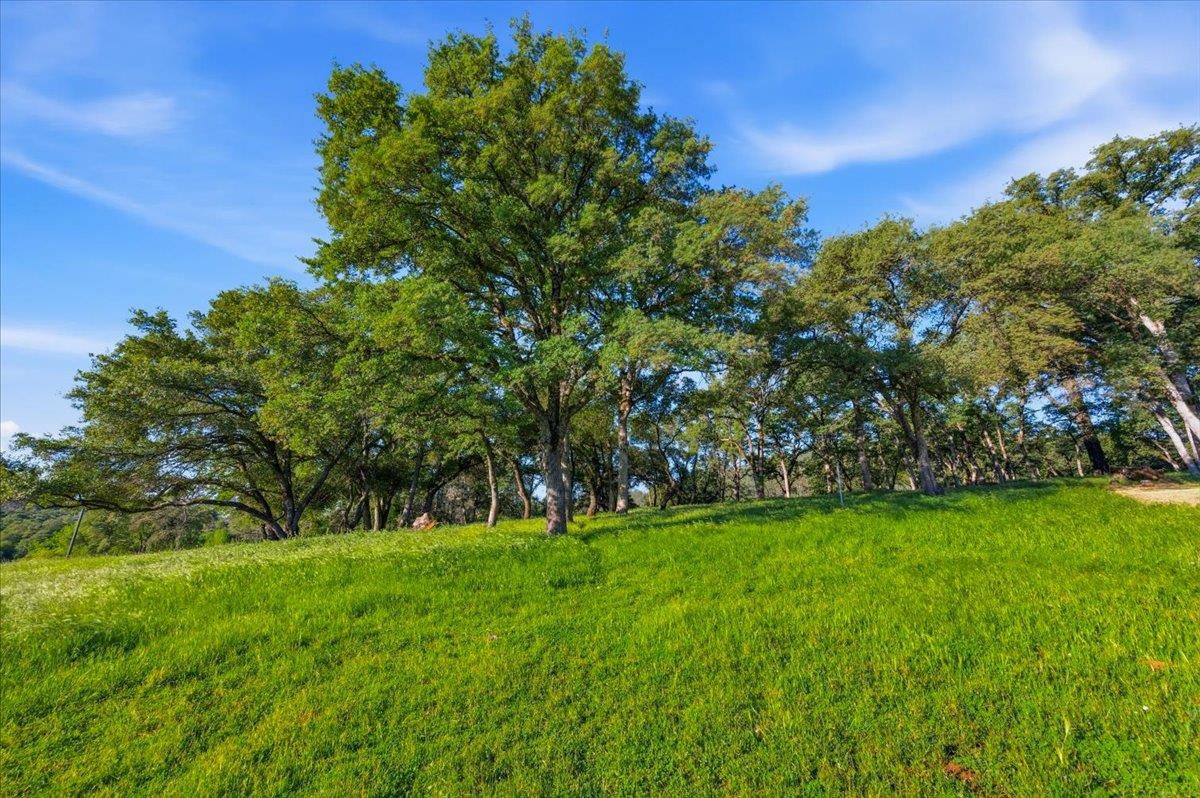 20601 John Born Road Penn Valley, CA 95946 - Photo 44 of 52