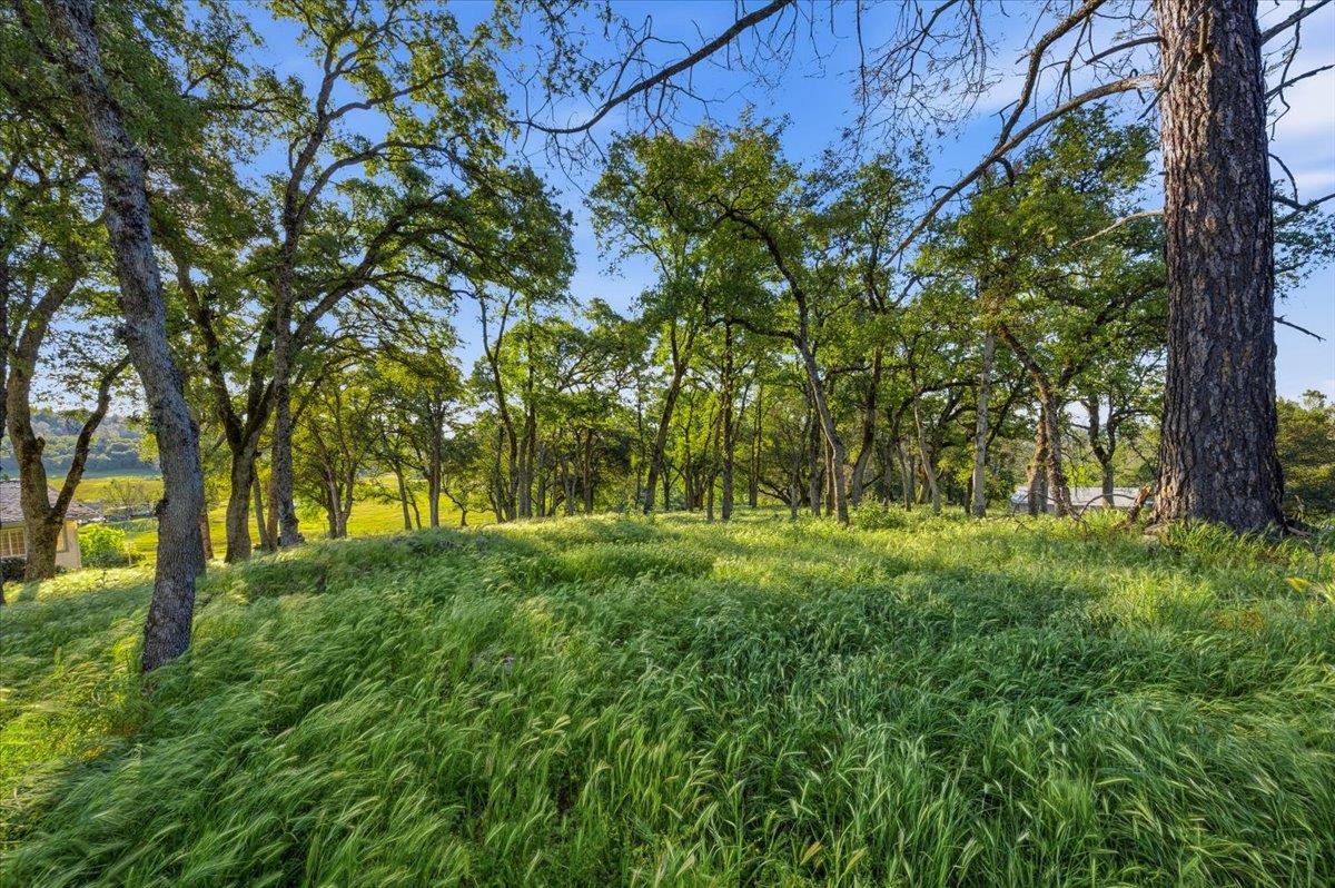 20601 John Born Road Penn Valley, CA 95946 - Photo 45 of 52