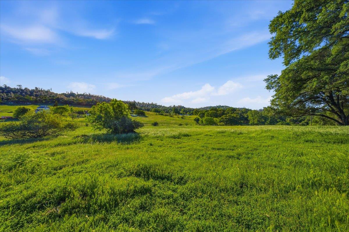 20601 John Born Road Penn Valley, CA 95946 - Photo 46 of 52