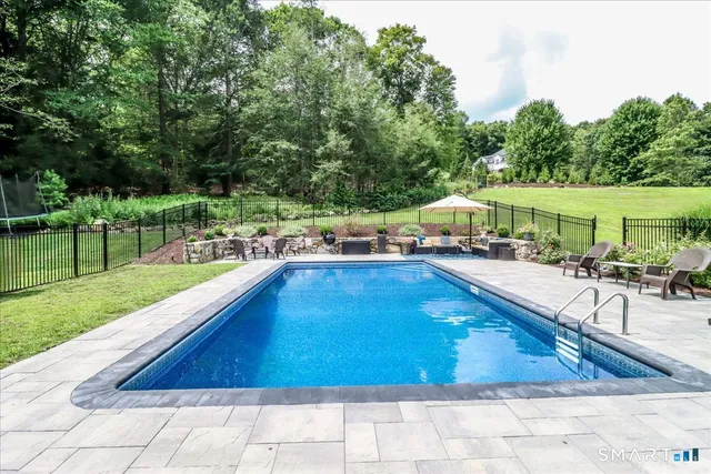 a view of a garden with plants and large trees