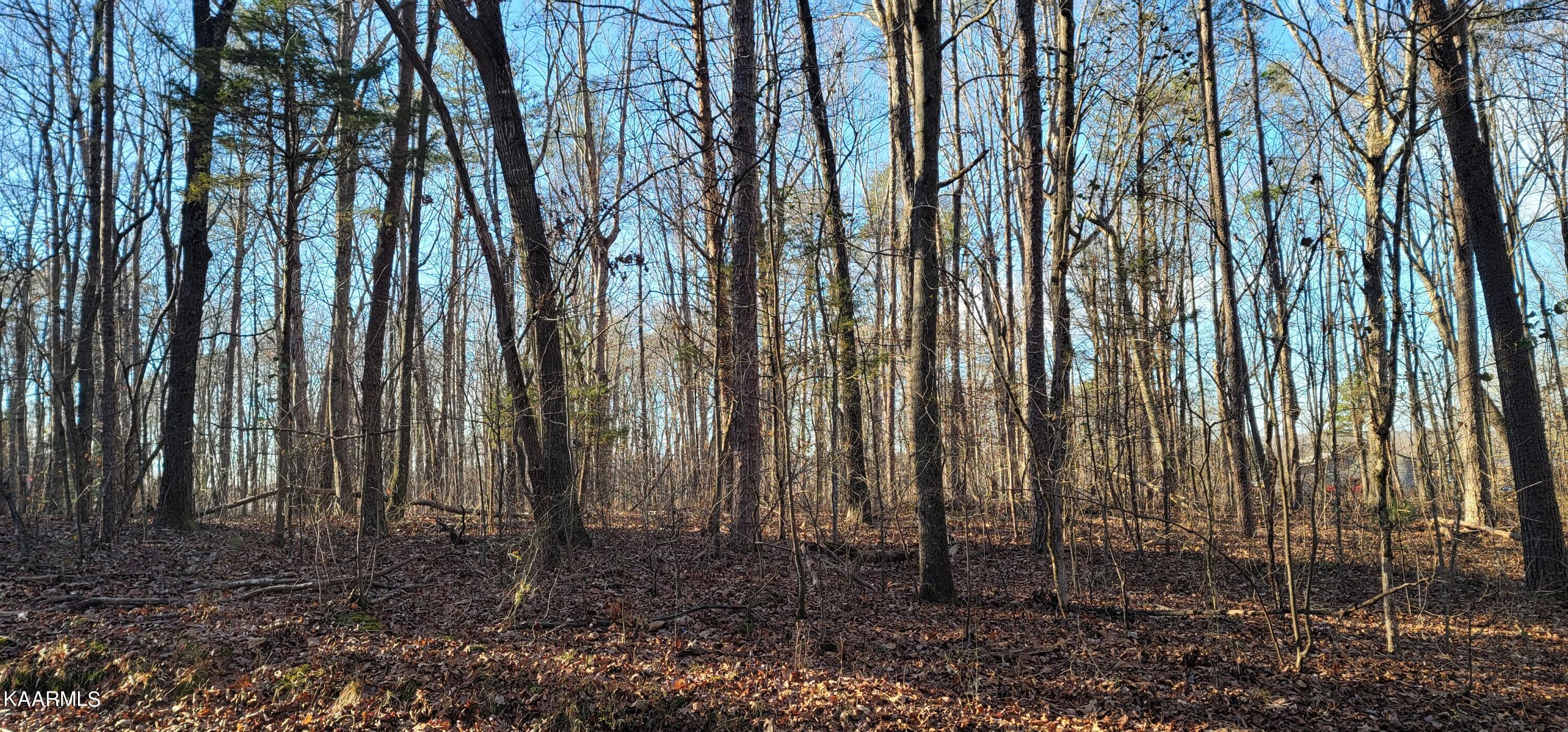 Lot 6 Mountain View Road Benton, TN 37307 - Photo 8 of 8 Lot-9-1