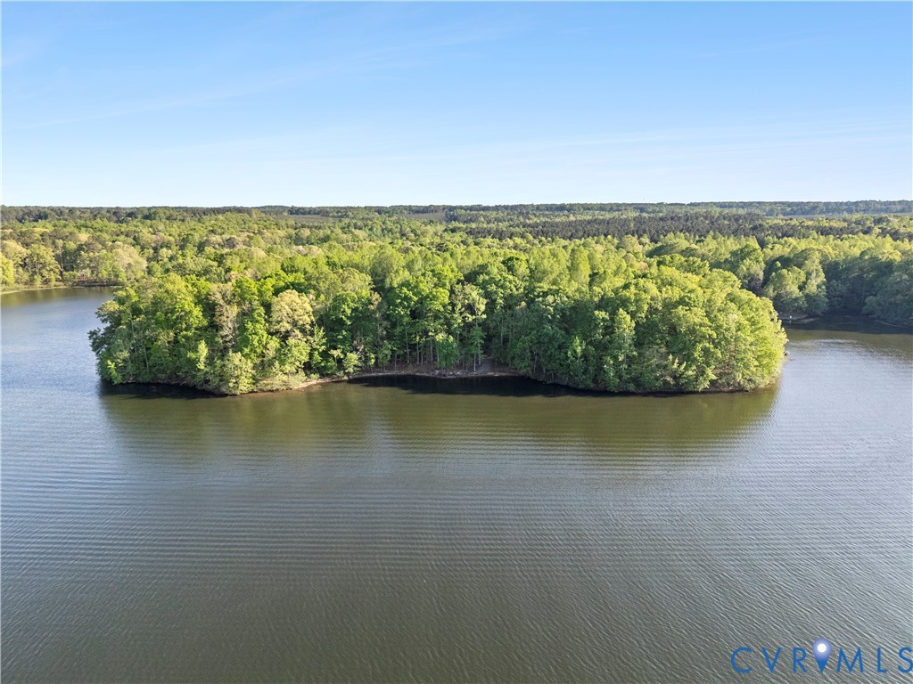 0 River Road Sutherland, VA 23885 - Photo 16 of 24 a view of an ocean & beach