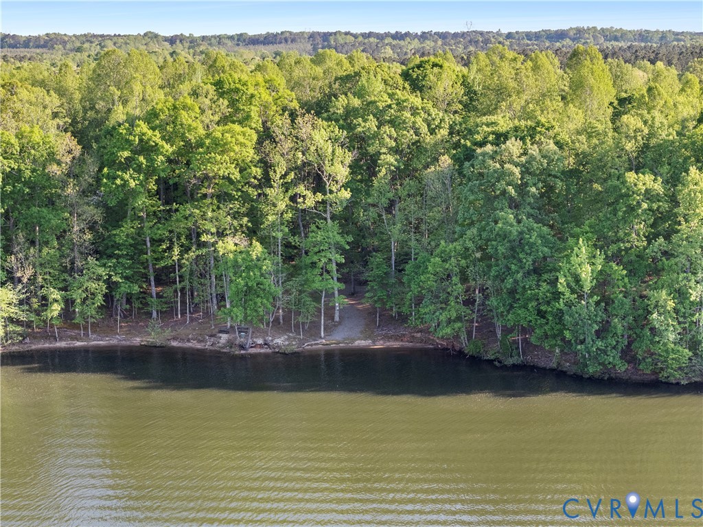 0 River Road Sutherland, VA 23885 - Photo 17 of 24 a view of a lake with a large trees