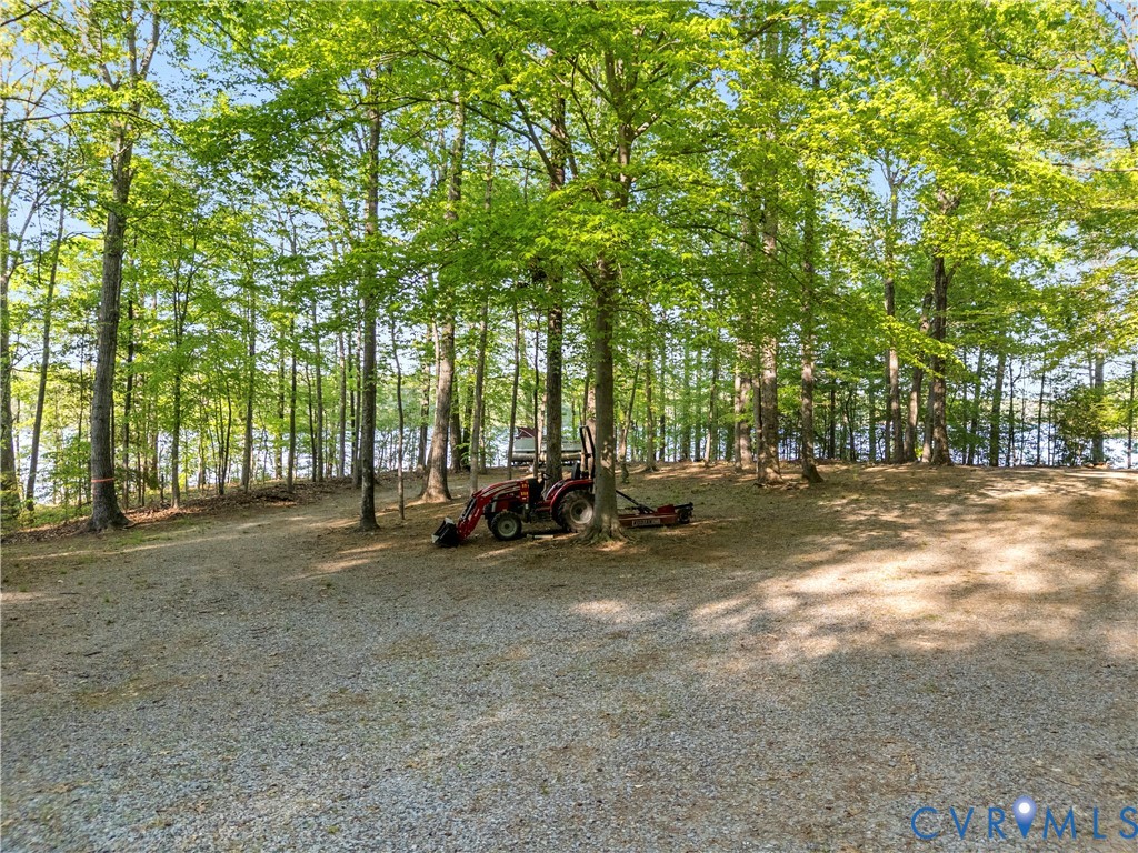 0 River Road Sutherland, VA 23885 - Photo 21 of 24 a view of a park with large trees