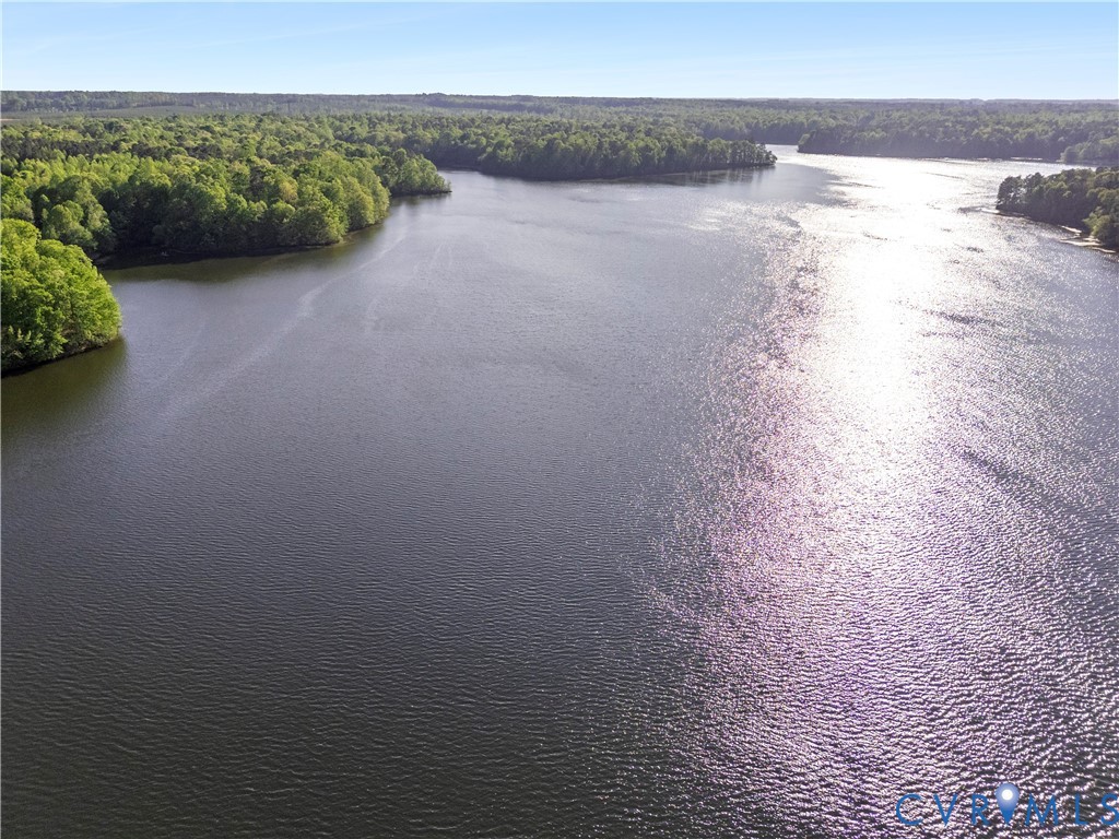 0 River Road Sutherland, VA 23885 - Photo 24 of 24