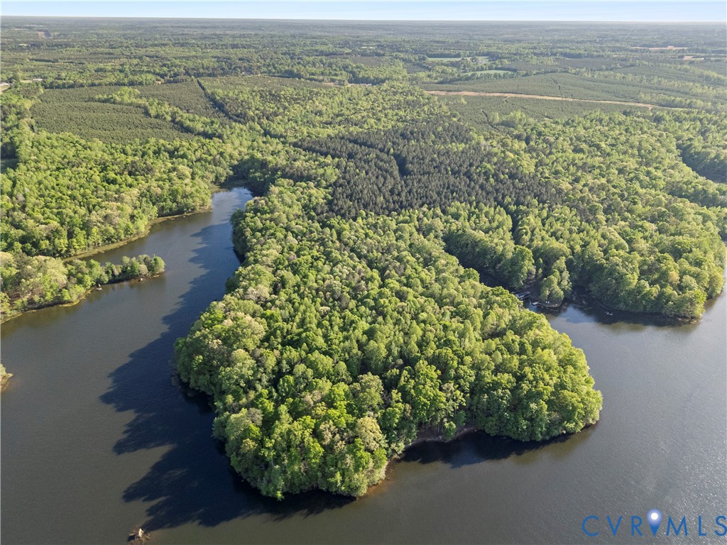 0 River Road Sutherland, VA 23885 - Photo 4 of 24 an aerial view of a houses with a lake view