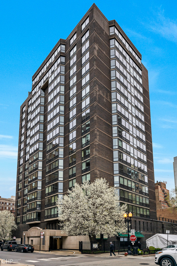 21 West Goethe Street, Unit 10G Chicago, IL 60610 - Photo 39 of 39 a front view of a building