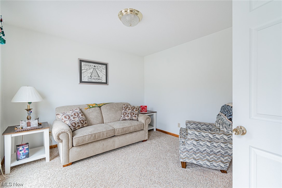 229 Clingan Road Struthers, OH 44471 - Photo 17 of 35 Gallery Image 17