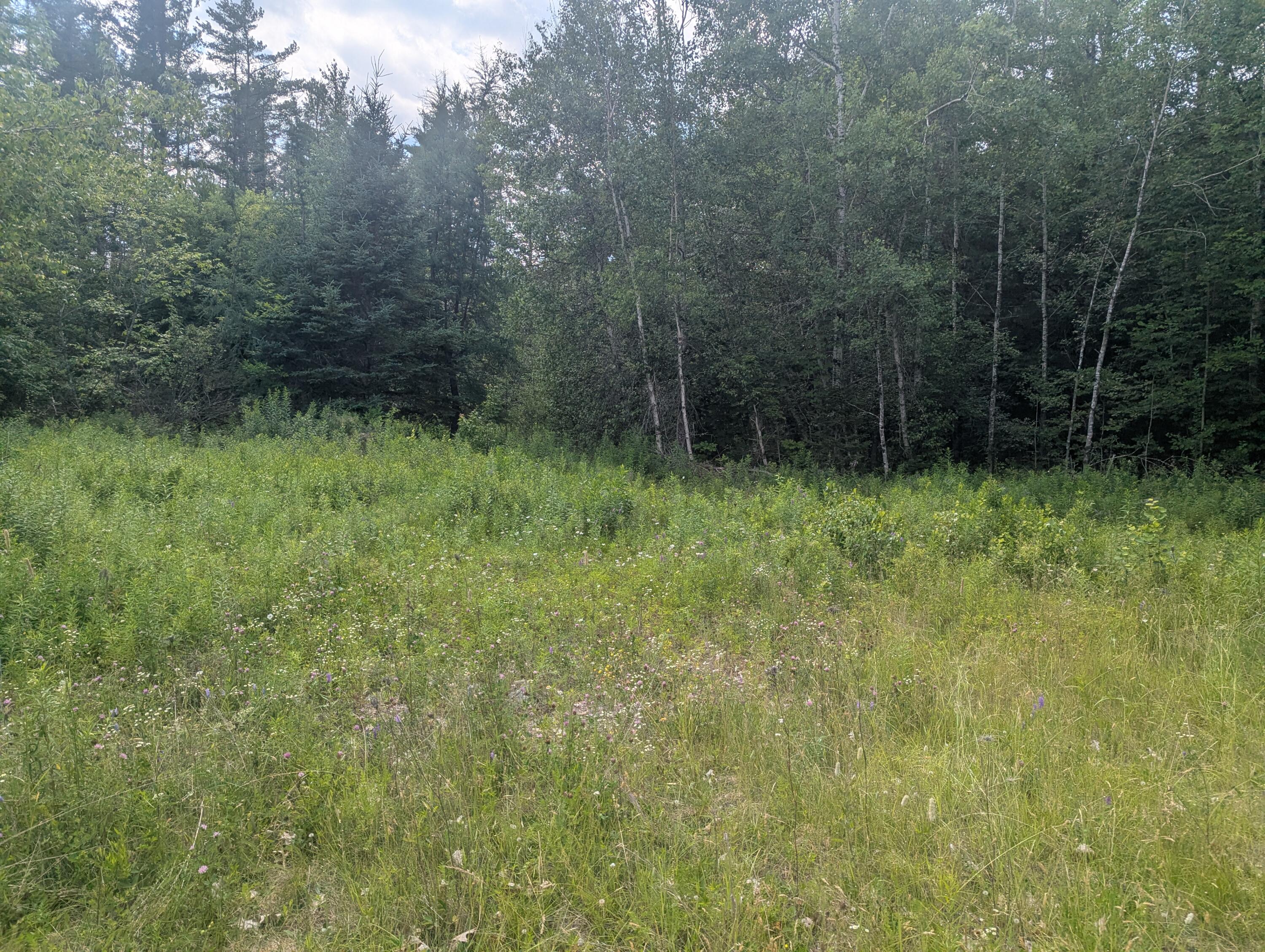 619 Stream Road Winterport, ME 04496 - Photo 2 of 3 PXL_20260703_181443365