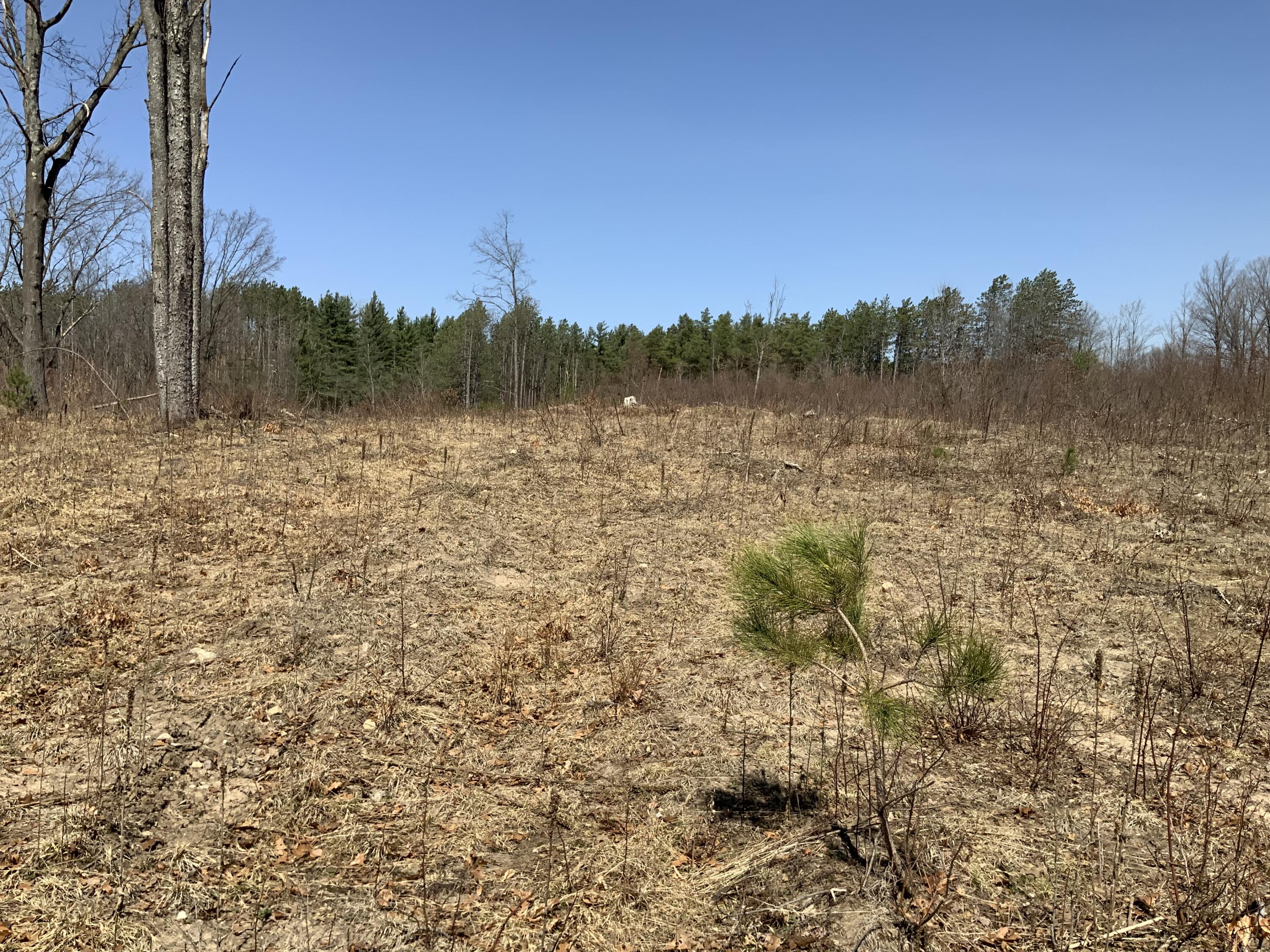 1271 North Hawkins Road Luther, MI 49656 - Photo 23 of 26 EDFDB020-504D-4A2E-AA4A-416B4DBA86A9