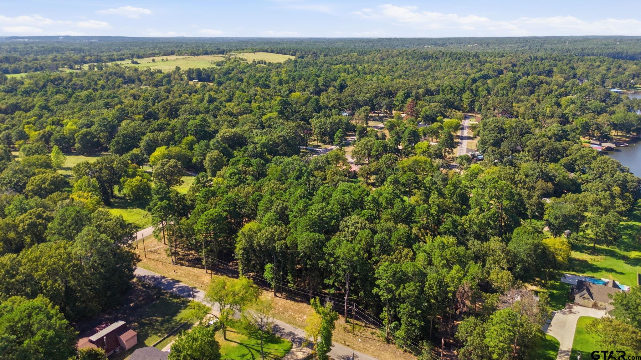 Tbd Tbd Wilson Road Tyler, TX 75707 - Photo 10 of 14 Gallery Image 10
