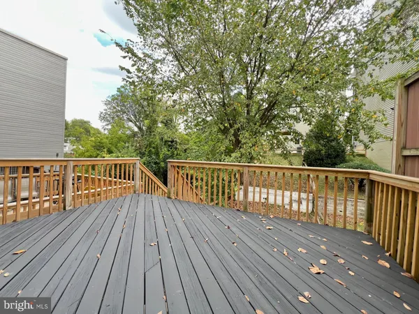 a view of a yard with plants and a bench