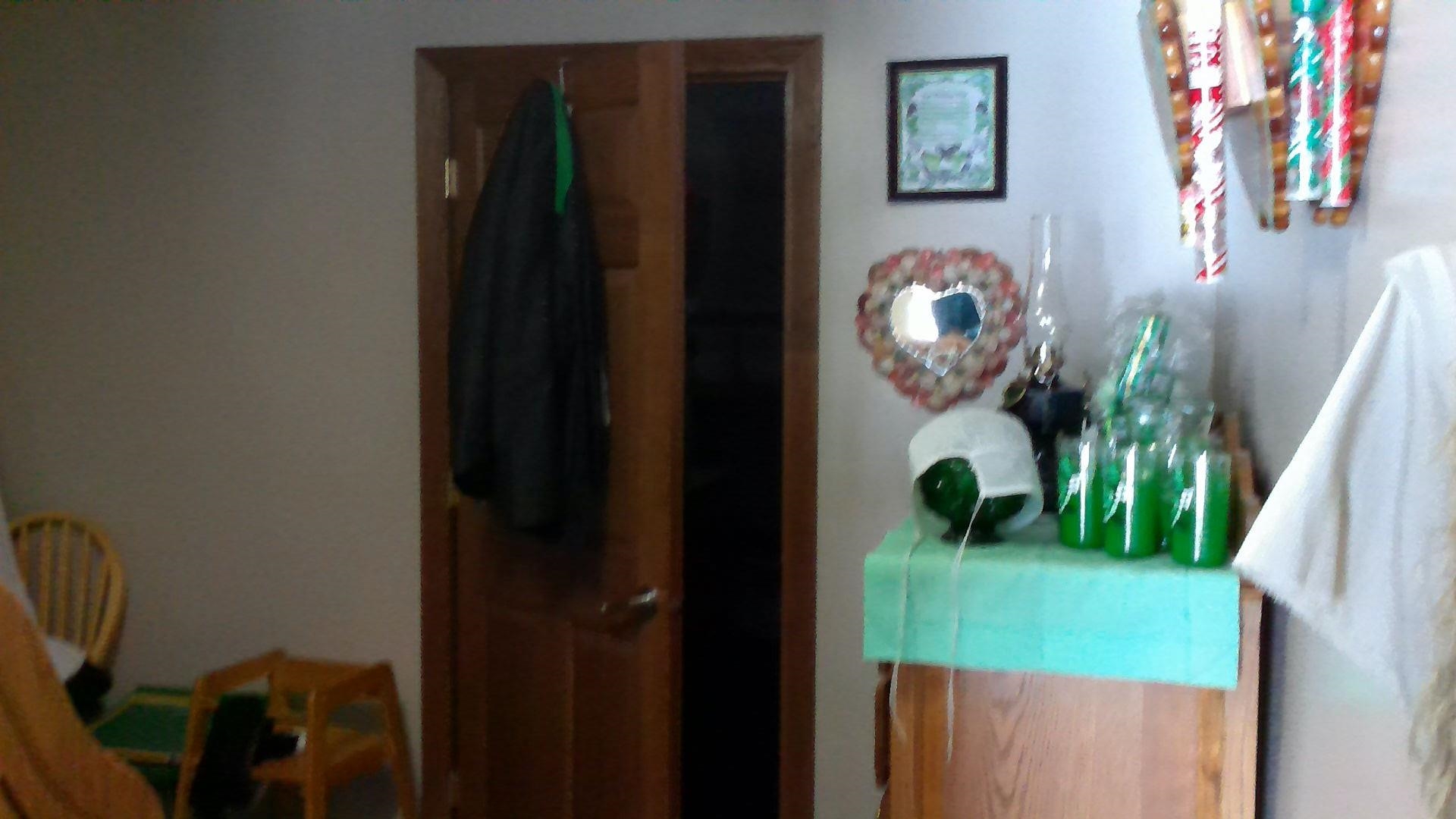 3805 Renas Road Gladwin, MI 48624 - Photo 40 of 74
