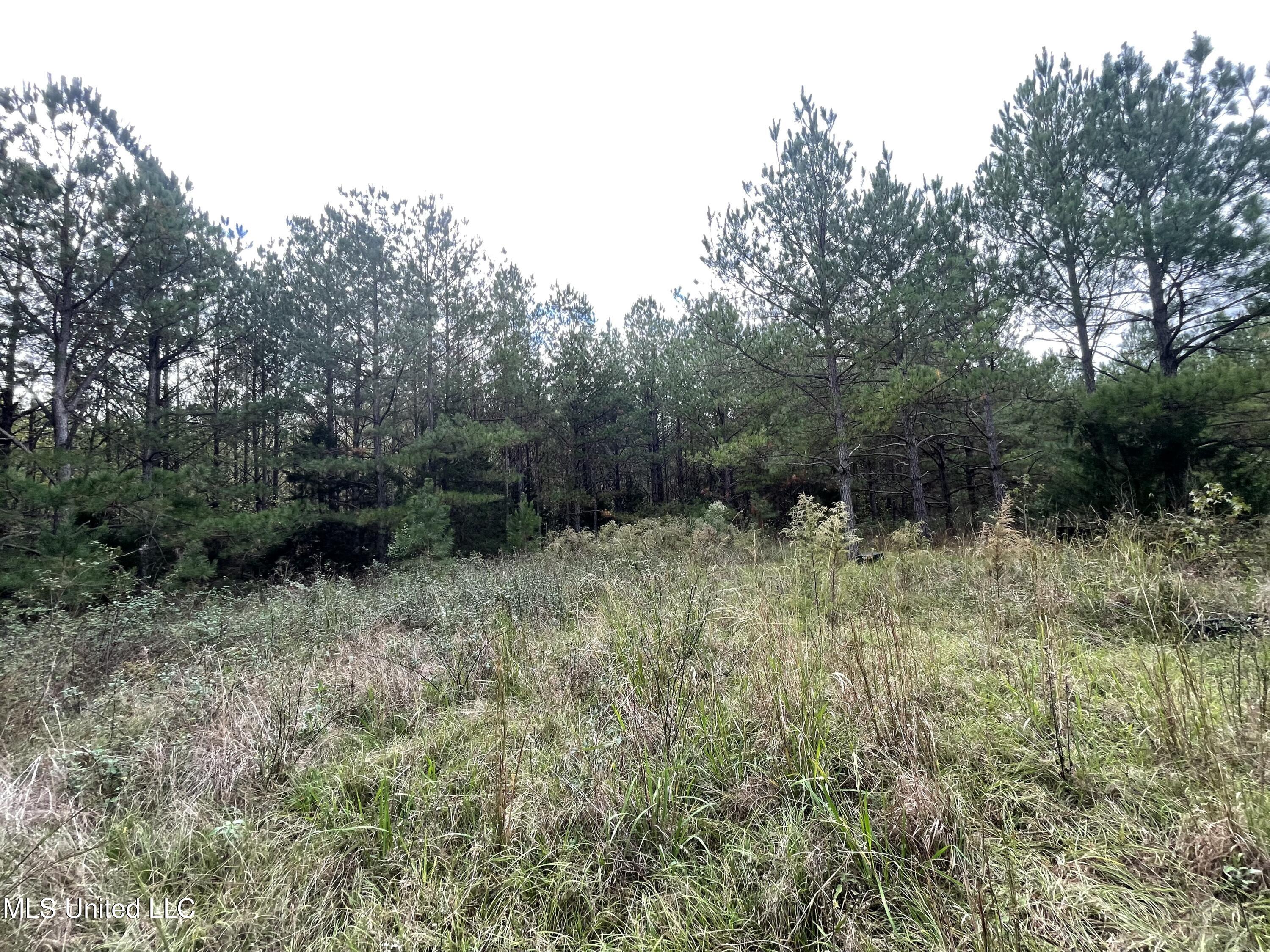 0 Kellis Store Road De Kalb, MS 39328 - Photo 11 of 20 IMG_6653