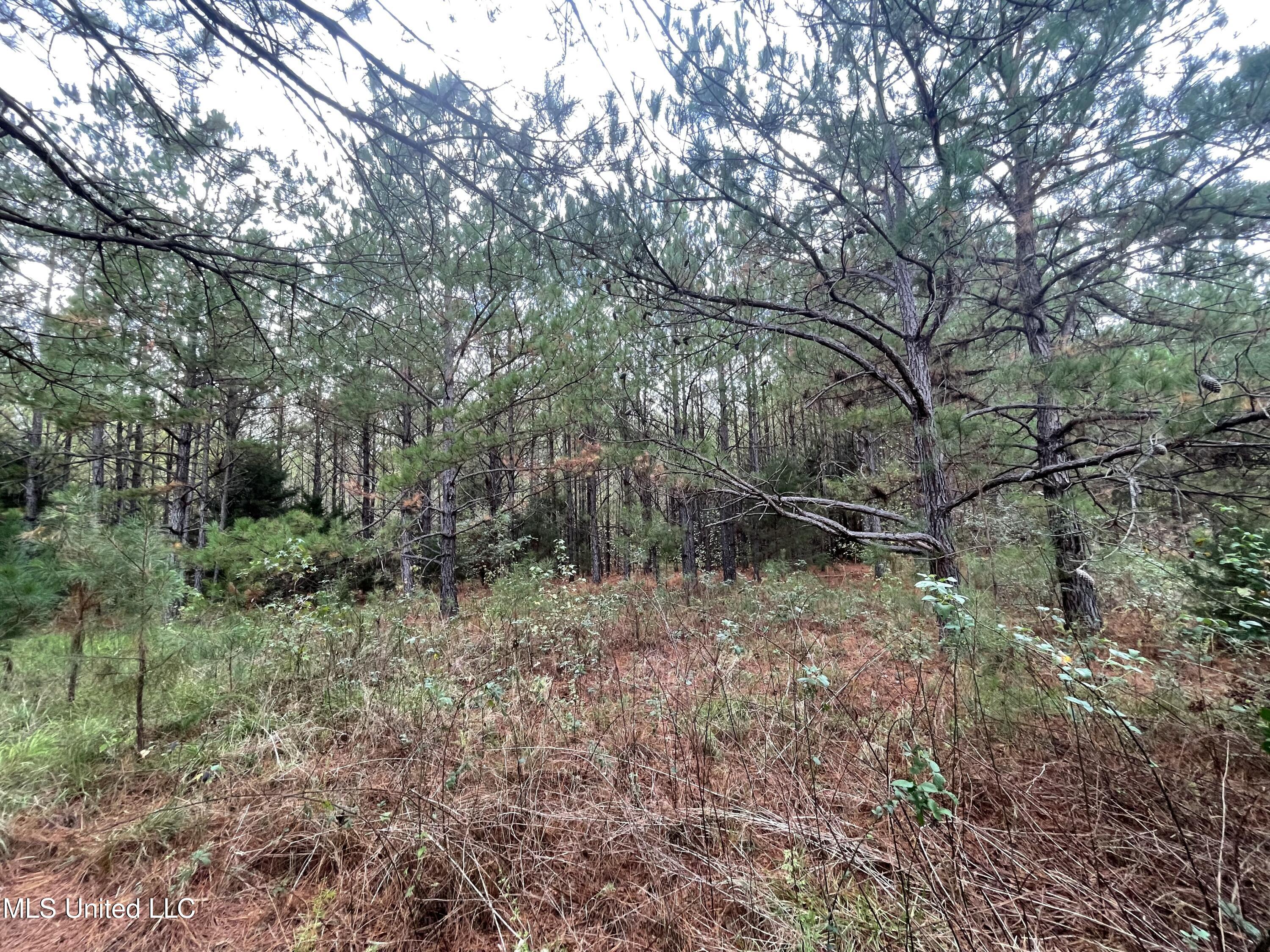 0 Kellis Store Road De Kalb, MS 39328 - Photo 13 of 20 IMG_6655