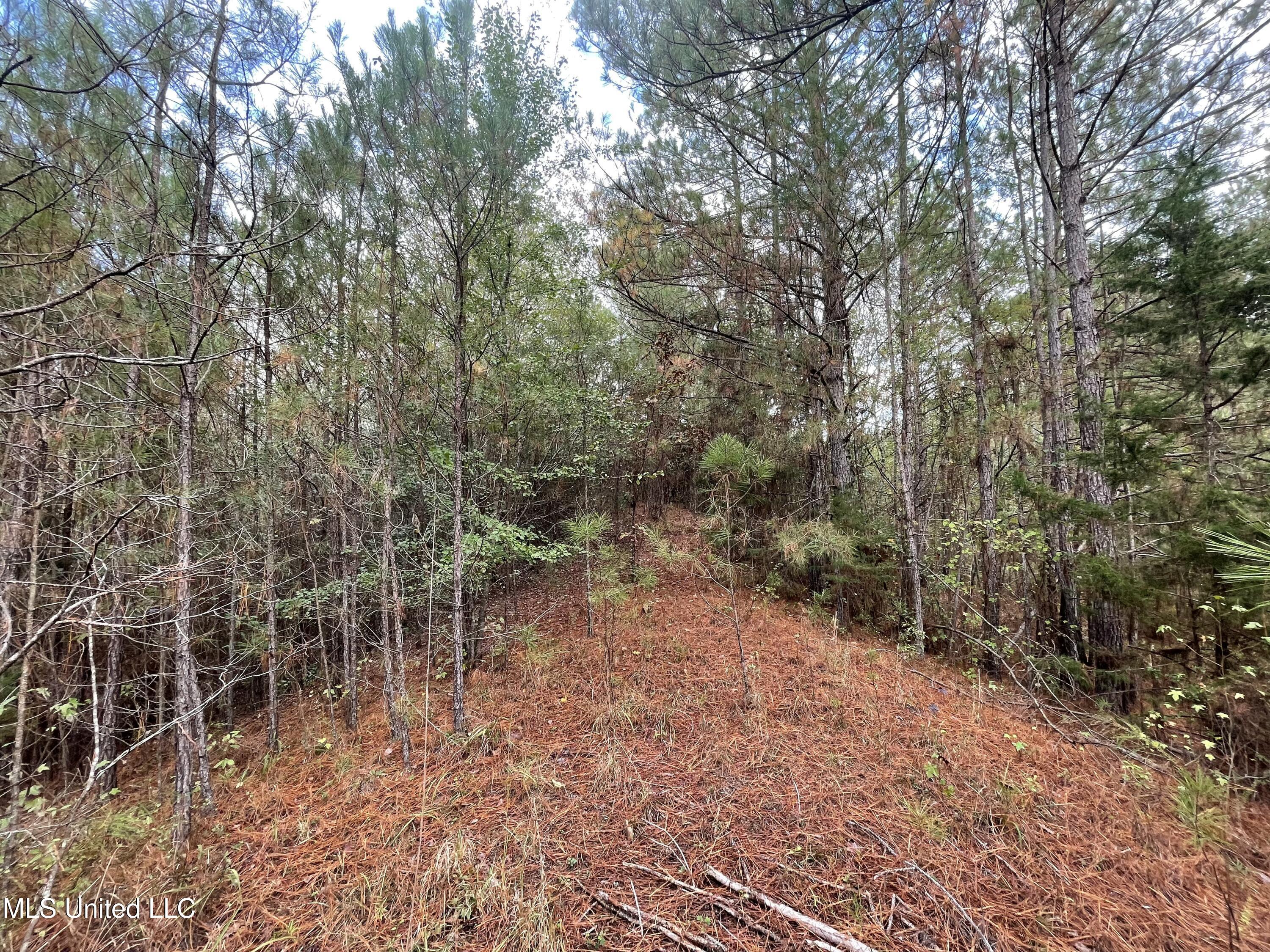 0 Kellis Store Road De Kalb, MS 39328 - Photo 19 of 20 IMG_6663
