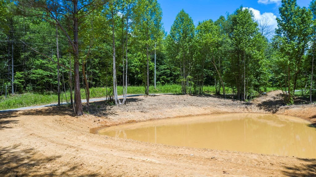 142 J Wilson Road Old Fort, TN 37362 - Photo 47 of 51