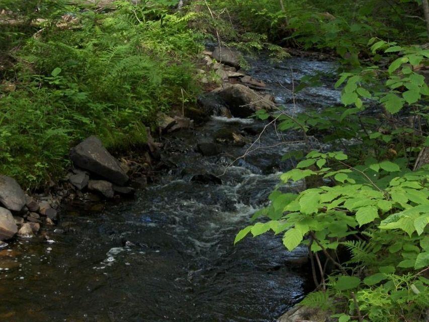 Tbd Steward Road Monson, ME 04464 - Photo 11 of 12 prescott brook