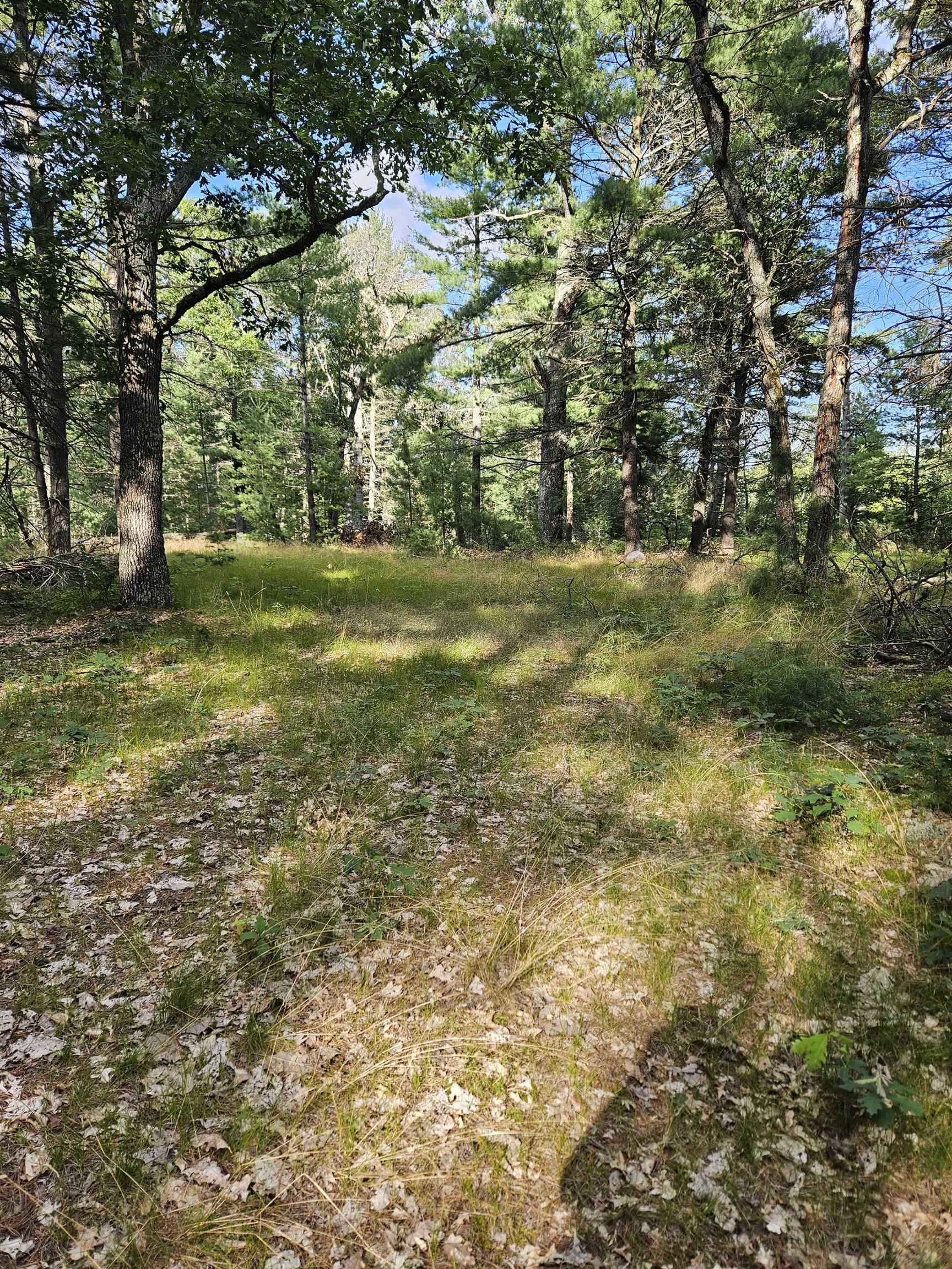 0 Curtis Road Hale, MI 48739 - Photo 11 of 24