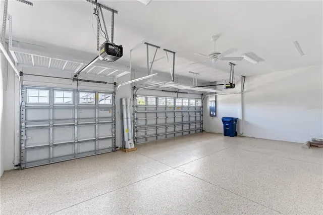 a view of a garden with plants and a bench