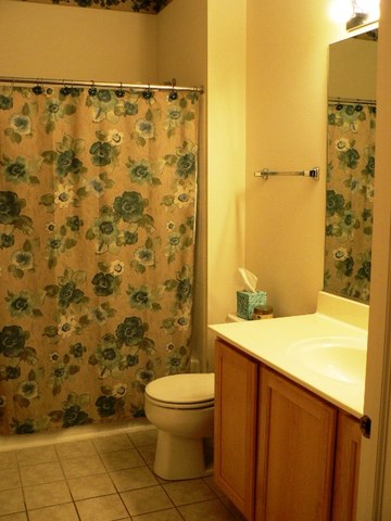 2853 Falling Waters Drive Lindenhurst, IL 60046 - Photo 10 of 16