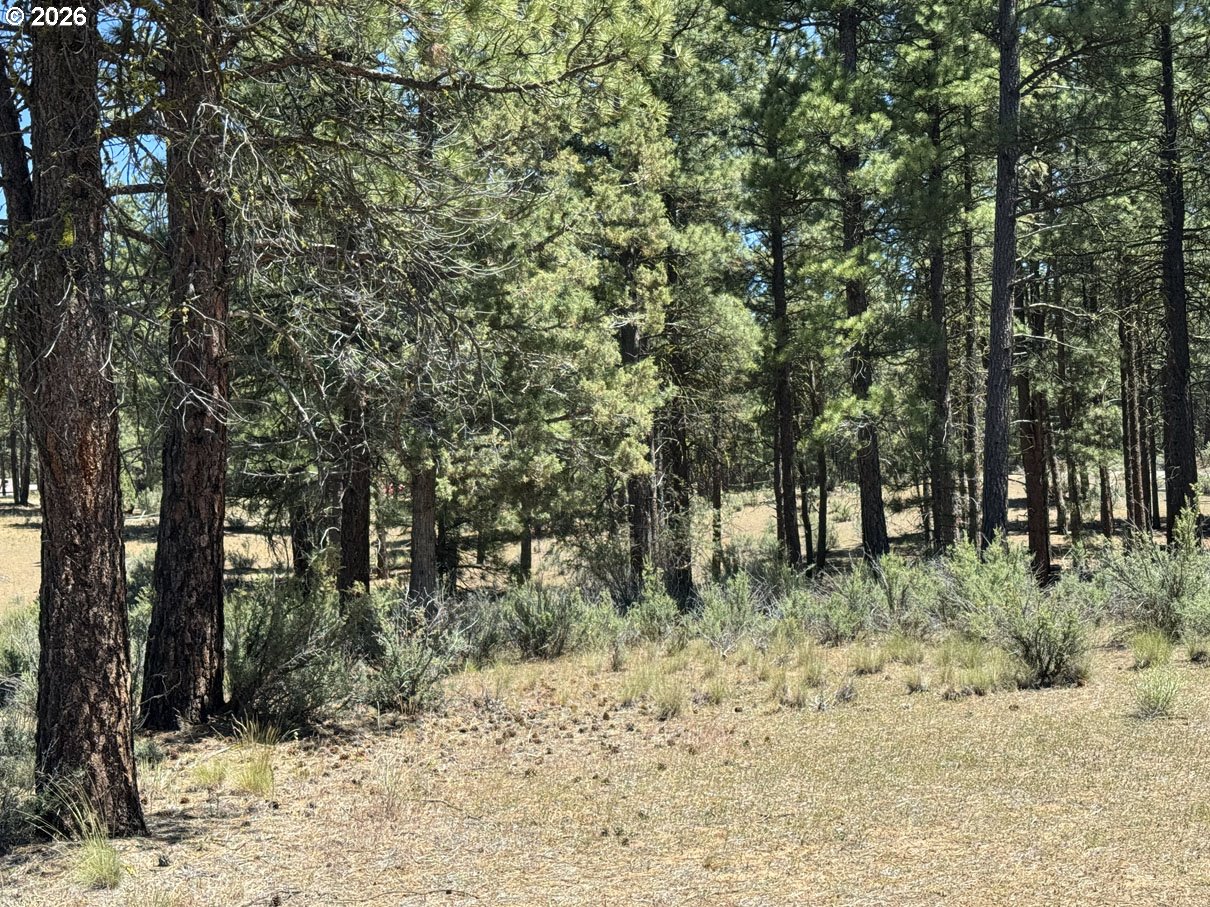 15651 Marcee Way Chiloquin, OR 97624 - Photo 45 of 47