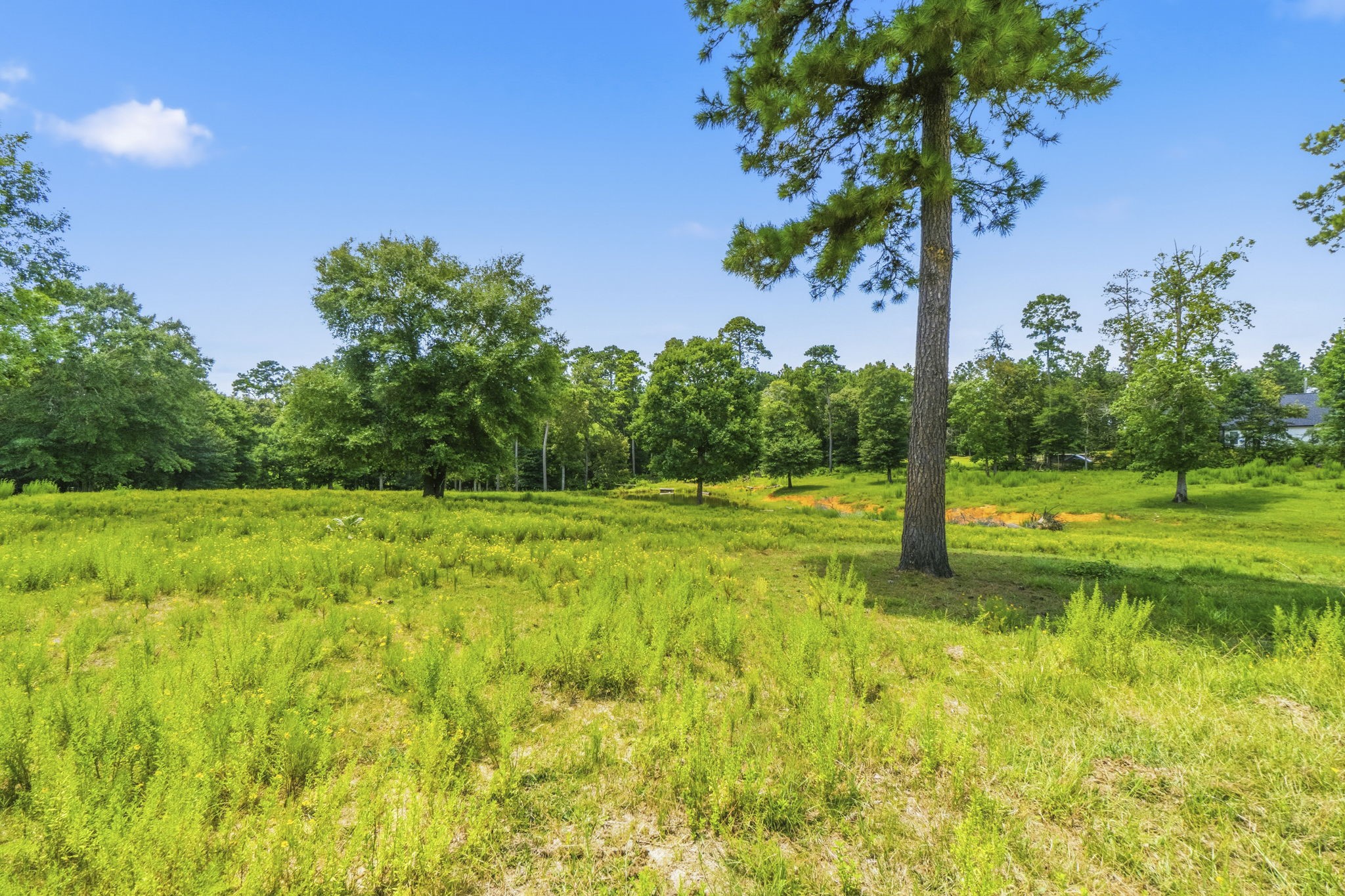 1239 Tony Peebles Road Livingston, TX 77351 - Photo 30 of 50 Gallery Image 30
