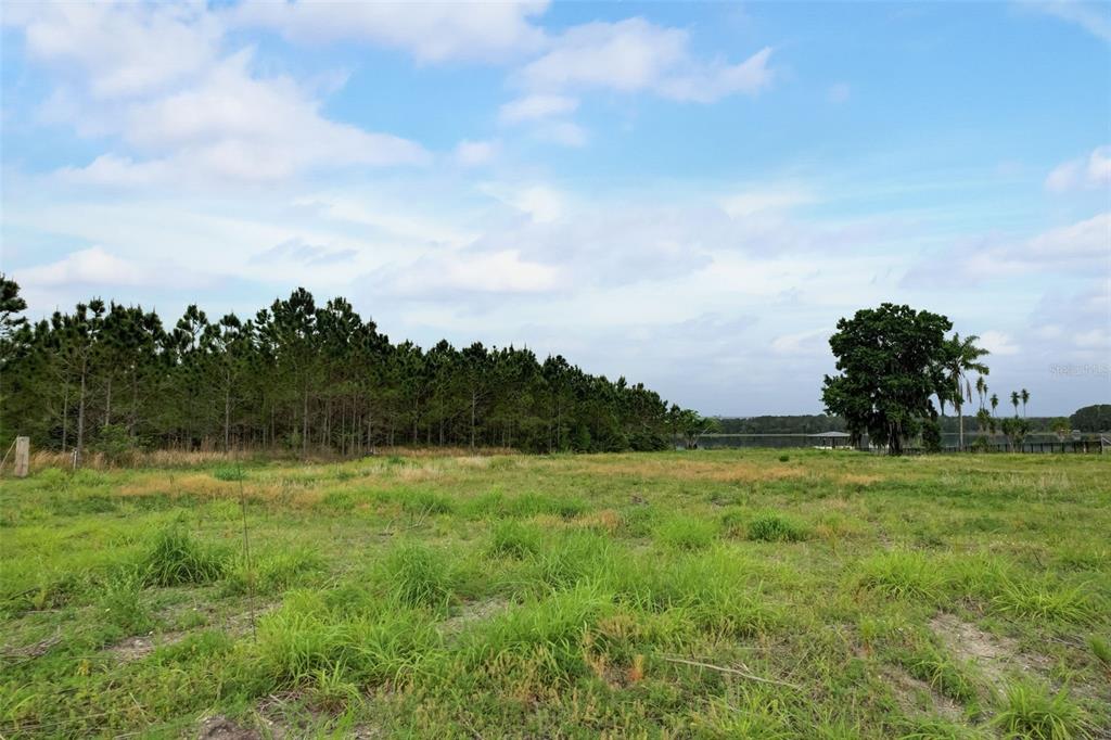 Undisclosed Address Odessa, FL 33556 - Photo 8 of 15