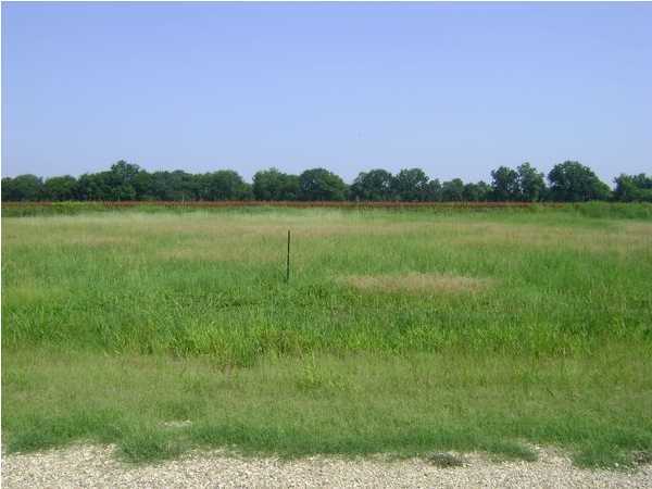 15 Nonc Lol Road Arnaudville, LA 70512 - Photo 2 of 2 Additional Photo