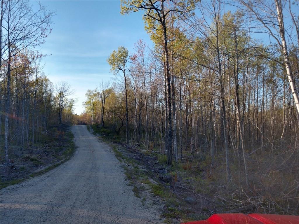 L50 Salmon Road Cherryfield, ME 04622 - Photo 6 of 11 Photo