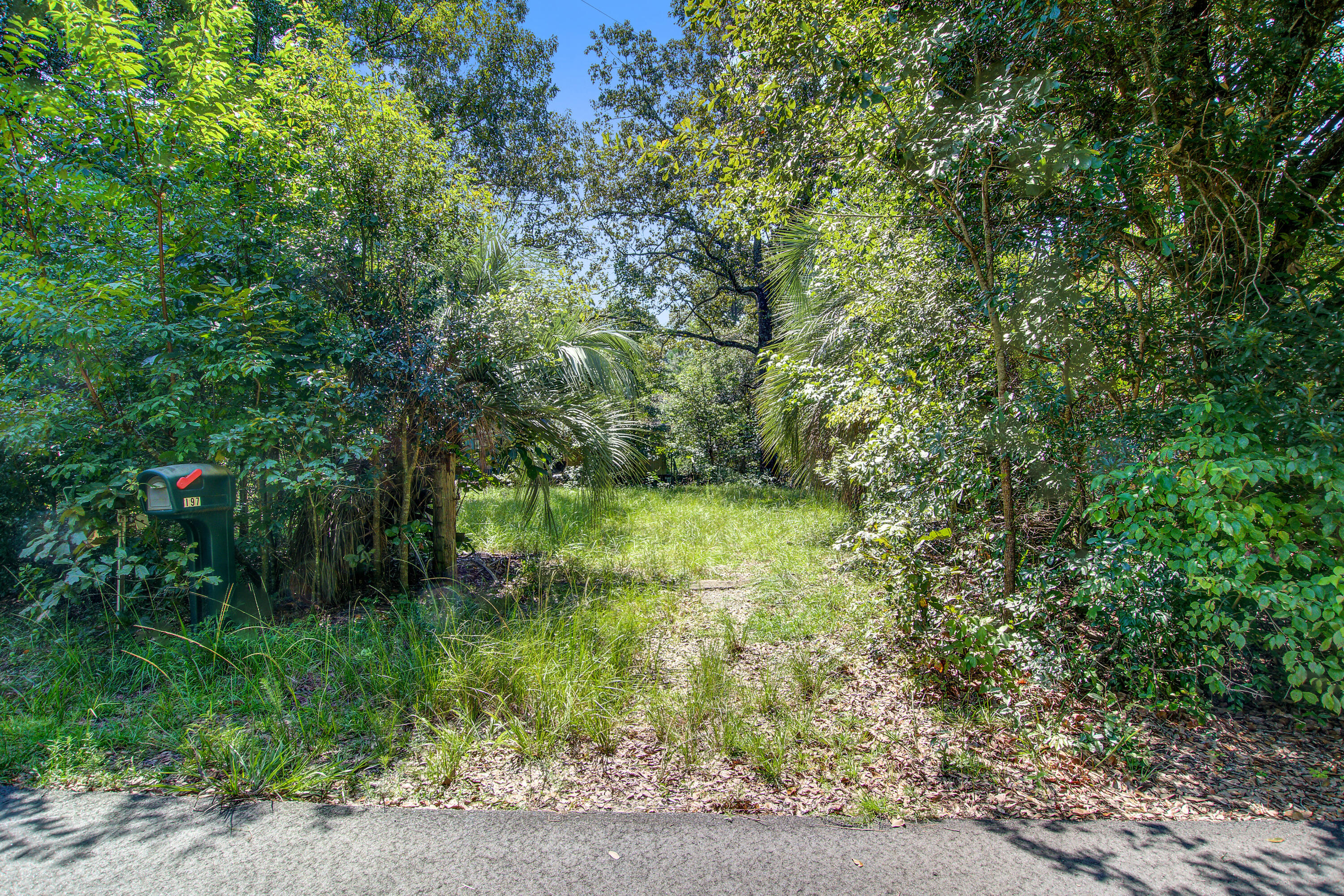 197 Walnut Heights Road Dorchester, SC 29437 - Photo 2 of 7 197 (1)