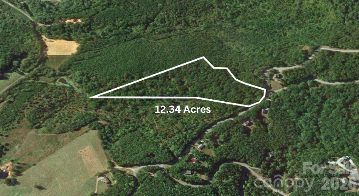 0 Arbra Mountain Road Bostic, NC 28018 - Photo 2 of 15