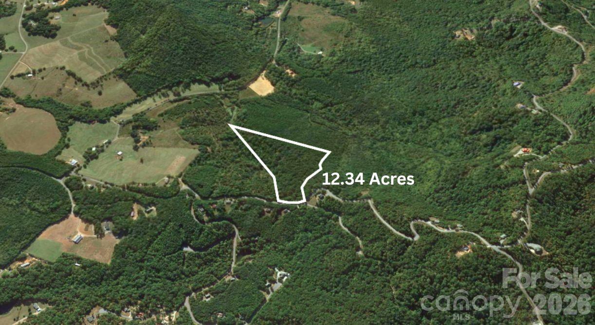 0 Arbra Mountain Road Bostic, NC 28018 - Photo 3 of 15